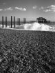 old brighton pier and supports Retouched TP 2.jpg
