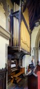 Organ pan web.jpg