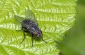 P6160042.jpg P6160042.jpg