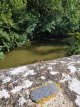 IMG_20190630_202102.jpeg