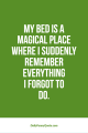 Top-370-Funny-Quotes-With-Pictures-Sayings-2.png