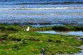 DSC_8108.JPG