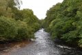 DSC_8188.JPG
