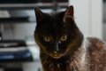 DSC_8224.JPG