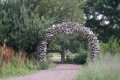 BlurDSC01755.jpg