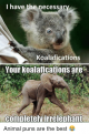 i-have-the-necessary-koalafications-your-koala-fications-are-completelvirrelephant-8941782.png
