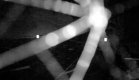 image07.jpg
