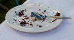 chocolate-cake-crumbs-white-plate-silver-teaspoon-ceramic-image-copy-space-landscape-format-11...jpg