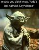yoda.jpg