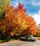 Autumn in New Hampshire.jpg