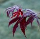DSCF5567.jpg