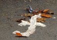 Rubbish white cross and leaves on road DSC01231.JPG