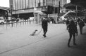 2019-12-06-tmax3200-bessa-02.jpg