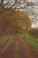 broad_oak_lane.jpg broad_oak_lane.jpg