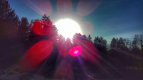 20191225_110821-01.jpeg 20191225_110821-01.jpeg