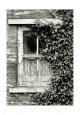 2019-9-3 Swaledale OM2n Acros HC110 Dil B 5m30s, 011-Edit.jpg