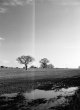 2020-01-03-rollei400IR-645n-11.jpg