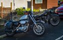 Sporty and Rudge-1LUF.jpg