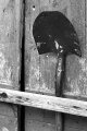 Baldwins Shovel TP.jpg