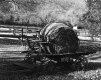 Straw carriage Retouched TP.jpg