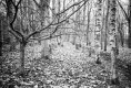 2020-01-31-superpan200-m6-03.jpg 2020-01-31-superpan200-m6-03.jpg