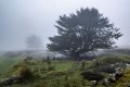 DSCF5312.jpg