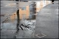 Reflections in wet pavement South Street GX7 P1140416.JPG