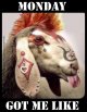 monday.jpg