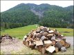 Log pile in front of wooded mountain near Seefeld Austria G2 1000837.JPG