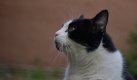 DSC_3211.jpg DSC_3211.jpg