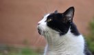 DSC_3211_01.jpg