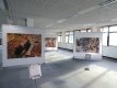 Wildlife photography exhibition at Winslade Park DSC01097.JPG Wildlife photography exhibition at Winslade Park DSC01097.JPG