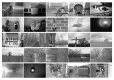 2020-03-08-11-trix400-T90.jpg