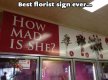 Funny-Memes--best-florist-sign-ever.jpeg