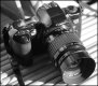 Canon Eos 1DS II CL7376.JPG