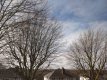 P_20200321_120854.jpeg
