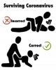 Surviving coronavirus.jpg