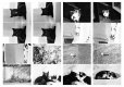 2020-03-29-20-fp4-645n.jpg
