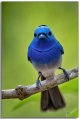 Neils-Photography-Bird-Hide-2020-(762).jpg