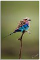 Neil's_Photography_January-19,-2016__NUK4769.jpg