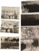 MF 6x9 negs Canon scan.jpg