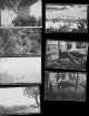 MF 6x9 negs Canon scan inverted.jpg