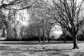 DSC_7409.jpg DSC_7409.jpg