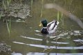 DSC_0473.JPG DSC_0473.JPG