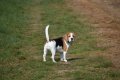 DSC_0502.JPG DSC_0502.JPG