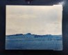 Cyanotype 02.jpg