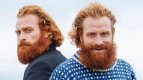 twin_1280.jpg twin_1280.jpg