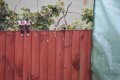 DSC_0667.jpeg DSC_0667.jpeg