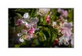 untitled-8515-Edit.jpg