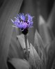 May 06 (2 of 2)-2.jpg